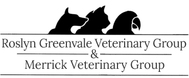 Merrickvetgroup Logo